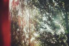 姓公良女孩四个字名字大全 公良姓4个字女宝宝起名