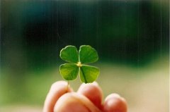 姓司徒女孩四个字名字大全 司徒姓4个字女宝宝起名