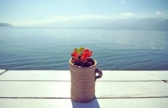 洋气的姓吕女孩名字大全