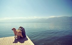 洋气的姓施女孩名字大全