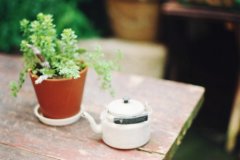 洋气的姓蓝女孩名字大全