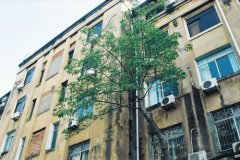 洋气的姓裘女孩名字大全