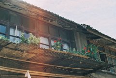 洋气的姓虞女孩名字大全