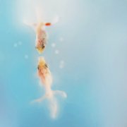 洋气的姓丁女孩名字大全