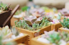 洋气的姓包女孩名字大全