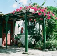 洋气的姓仇女孩名字大全