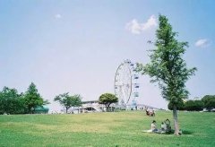 洋气的姓邰女孩名字大全