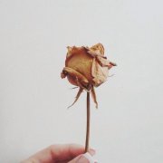 洋气的姓籍女孩名字大全