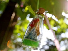 洋气的姓沃女孩名字大全