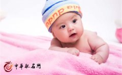 男宝宝取名字大全 猪年男宝宝取名