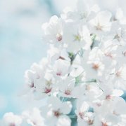 洋气的姓尉迟女孩名字大全