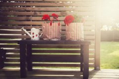 洋气的姓乐正女孩名字大全