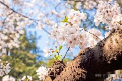 洋气的姓端木女孩名字大全