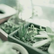 姓李女孩名字大全可爱的