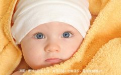 狗年木属性的字起名女孩名字