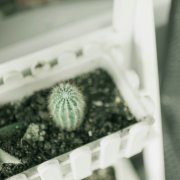 可爱的姓孙女孩名字大全