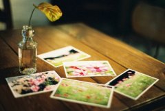 姓秦可爱的女孩名字大全