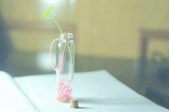 姓贲女孩可爱的名字大全