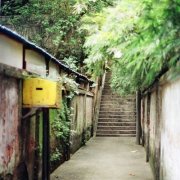 姓台可爱的女孩名字大全