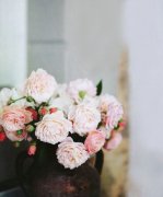 姓赖可爱的女孩名字大全