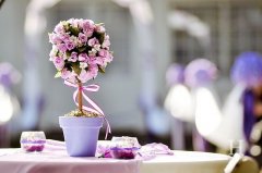 姓党可爱的女孩名字大全