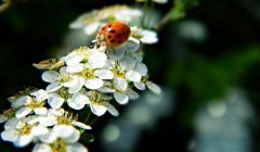 姓易可爱的女孩名字大全