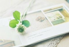 姓桓可爱的女孩名字大全