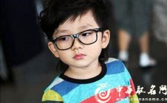 鸡宝宝起名 内涵诗意的鸡宝宝名字大全