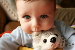 2017年姓林的男孩女孩名字大全