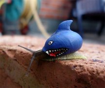 姓壤驷可爱的女孩名字大全