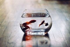 姓上官可爱的女孩名字大全