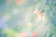 姓阴可爱的女孩名字大全