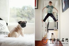 2017年带金字旁的男孩名字大全