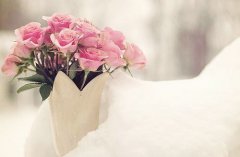 姓缑可爱的女孩名字大全