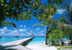 2019猪年春分出生女宝宝起什么小名比较好