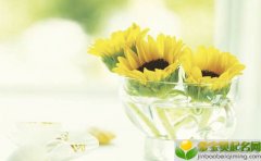 公历2019年4月23号子时出生的女宝宝起名方法有哪些，宜用什么字