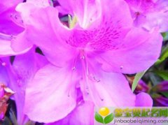  2019年7月15日子时（23:00-00:59）出生的男宝宝应该怎么取名，