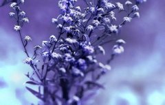 姓潘女孩有寓意的名字大全