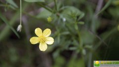 公历2019年4月13号丑时出生的女宝宝怎么取名字，宜用哪些字