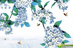 公历2019年4月18号丑时出生的女宝宝如何起名字，宜用字有哪些