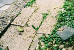 爸爸姓戚,妈妈姓姜 女孩名字三个字四个字