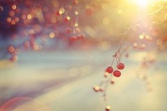 爸爸姓云,妈妈姓章 女孩名字三个字四个字