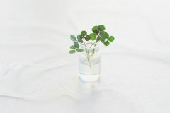 爸爸姓彭,妈妈姓范 女孩名字三个字四个字