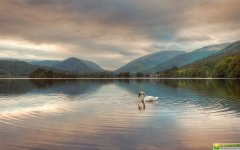 2019年4月8号下午出生的女宝宝如何去个大吉大利的名字