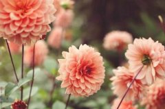 姓虞女孩有寓意的名字大全