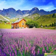 2019年十二月二十七出生的男孩如何根据宜用字木来起名字，