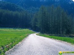 2019年4月5号傍晚出生的男宝宝怎么样起名字，起什么名字好听