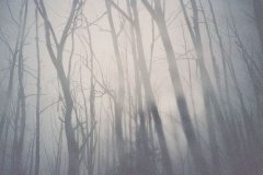 姓百里女孩有寓意的名字大全