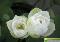 公历2019年3月21号子时出生的女宝宝名字如何取，宜用什么字