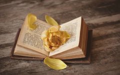 姓涂女孩有寓意的名字大全